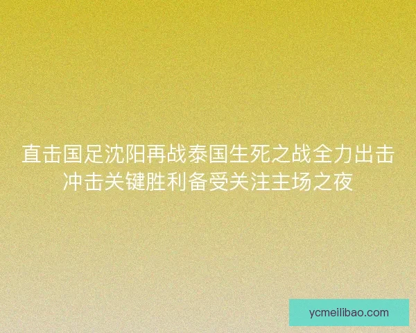直击国足沈阳再战泰国生死之战全力出击冲击关键胜利备受关注主场之夜