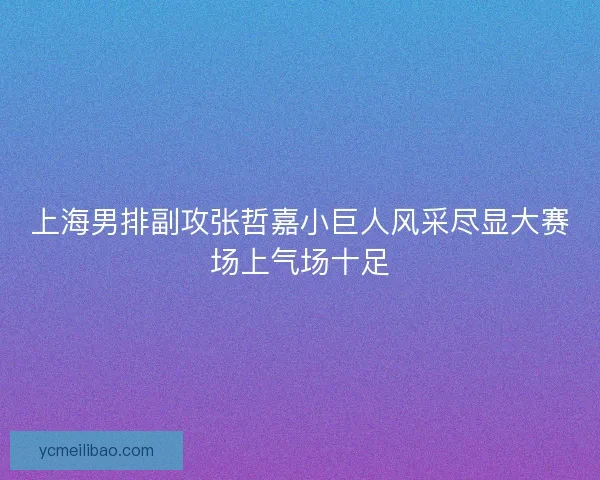 上海男排副攻张哲嘉小巨人风采尽显大赛场上气场十足