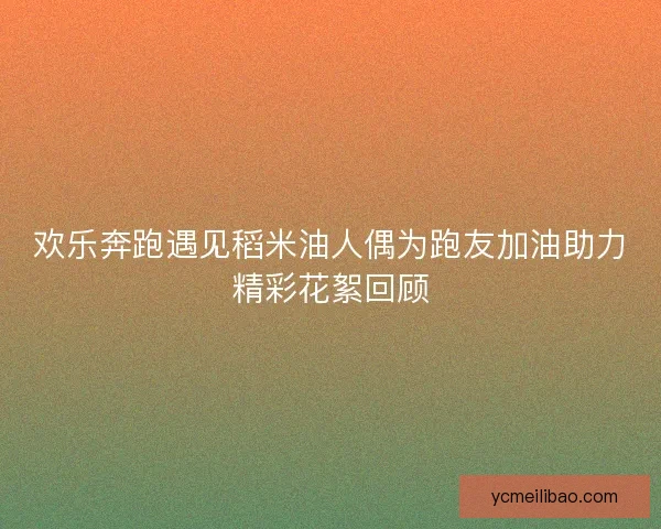 欢乐奔跑遇见稻米油人偶为跑友加油助力精彩花絮回顾