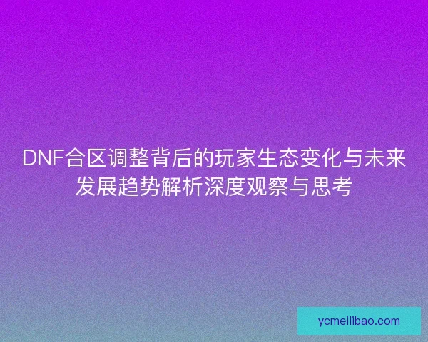 DNF合区调整背后的玩家生态变化与未来发展趋势解析深度观察与思考
